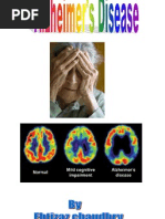 Alzhemers Disease