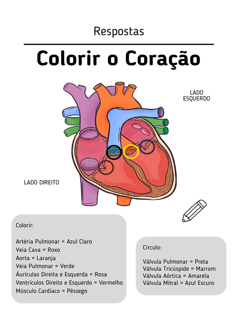 Cores do Coração: Guia de Colorir | PDF