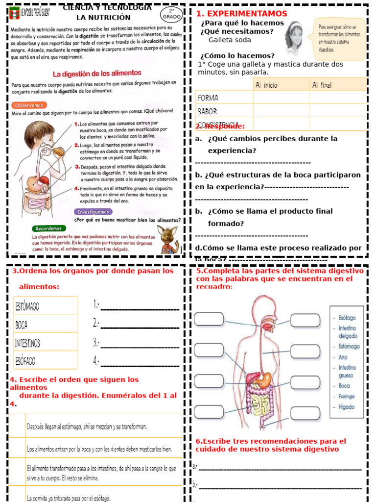 Ficha de Ciencia y Tecnología | PDF