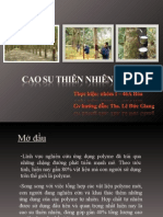 Cao Su Thien Nhien