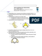 Examen Perimetros y Areas 2011