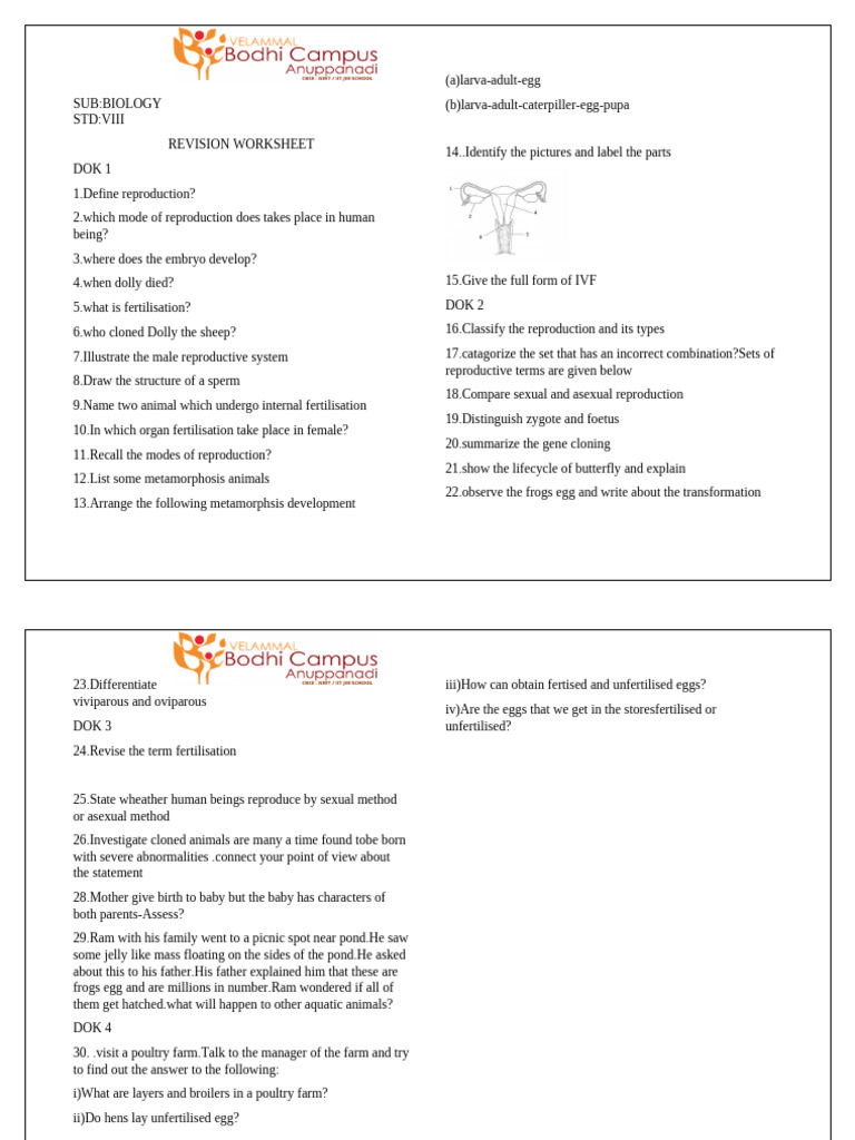 Biology Revision Worksheet: Reproduction | PDF | Fertilisation ...
