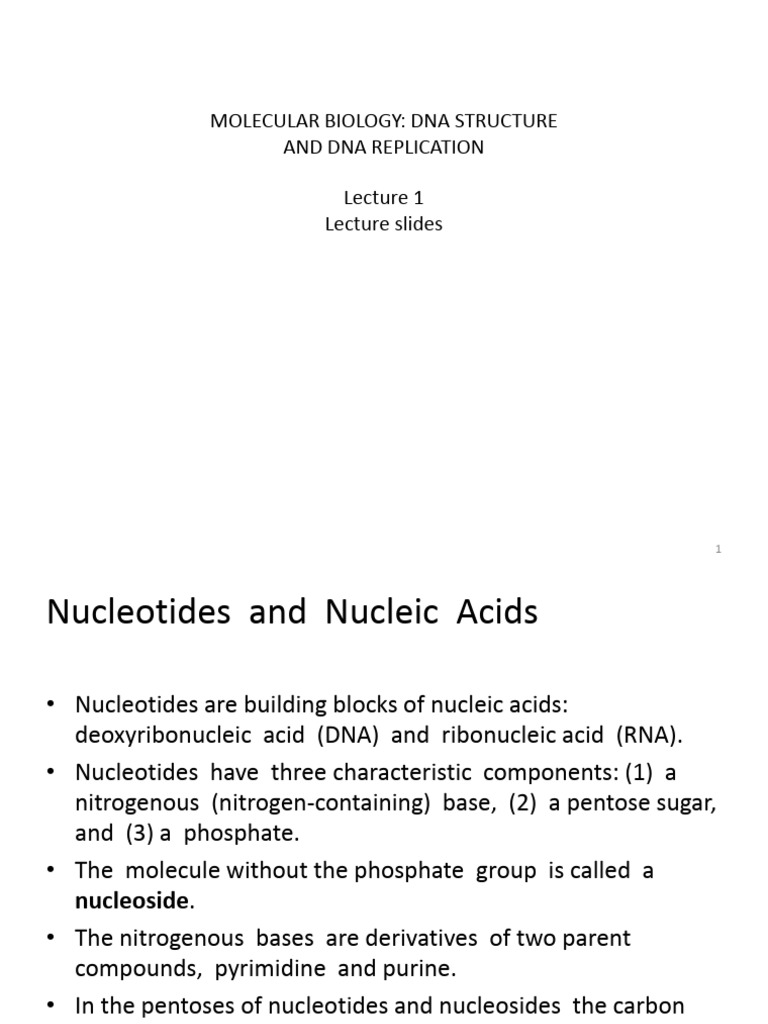 Mol Biol 2018 Lect1 Slides | PDF | Dna Replication | Nucleotides