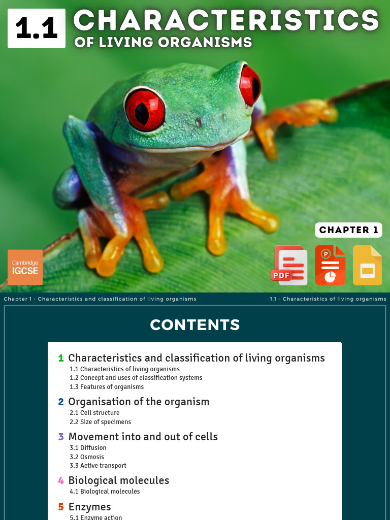 Characteristics of Living Organisms | PDF | Insects | Fungus