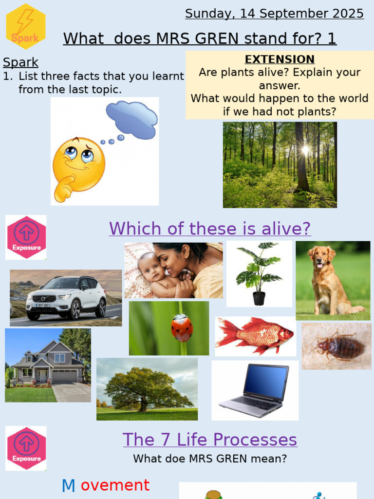 Understanding MRS GREN Life Processes | PDF | Breathing | Cellular ...