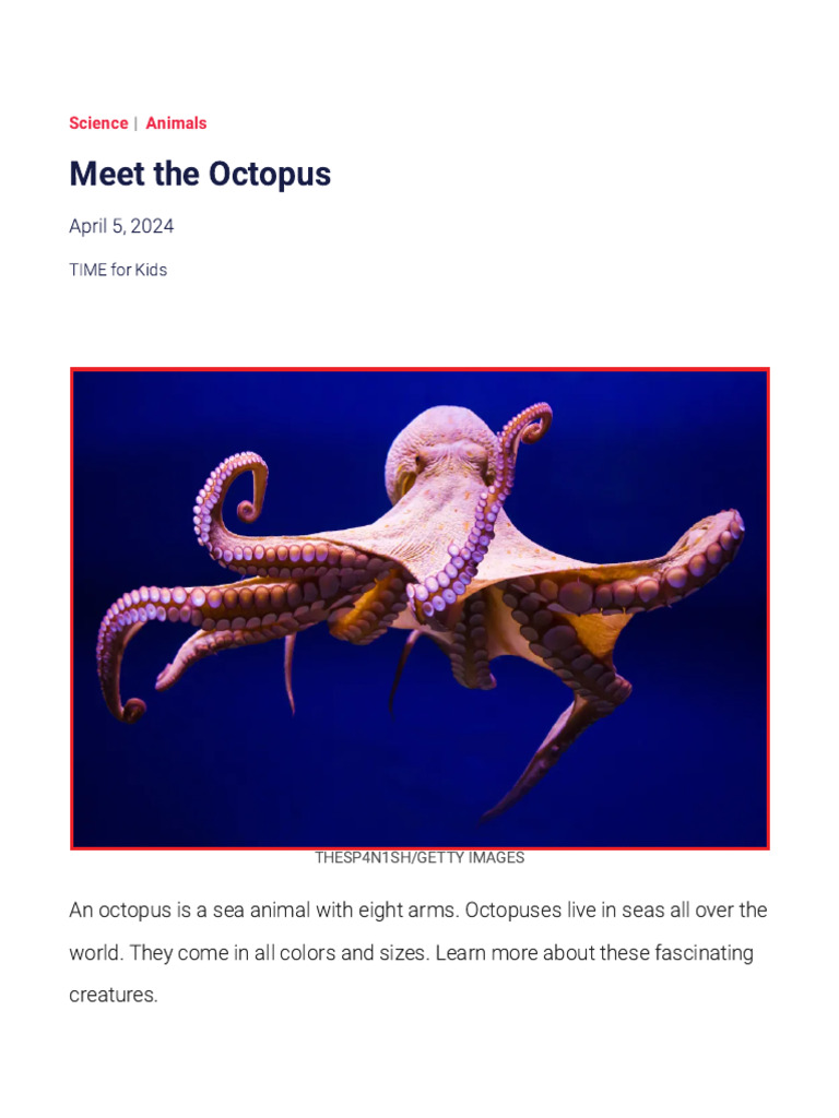 TIME For Kids - Meet The Octopus | PDF