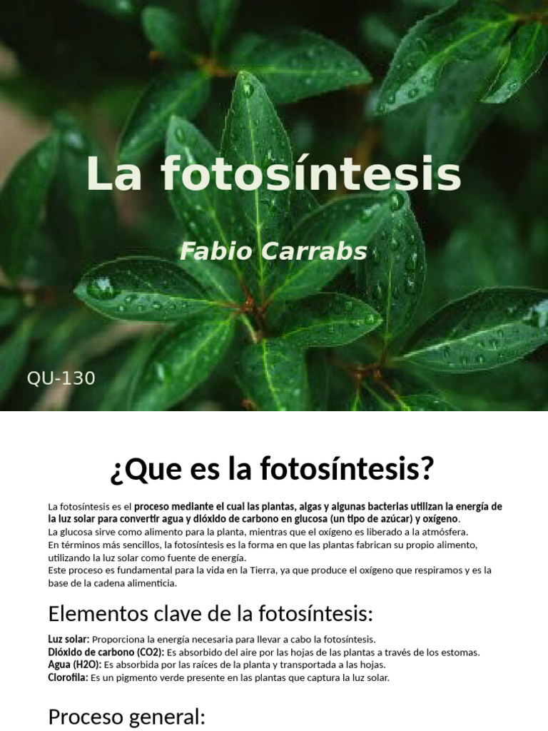 Una Mielda | PDF