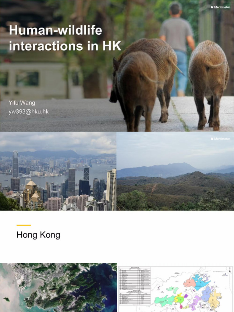 Humanwildlife interaction | PDF