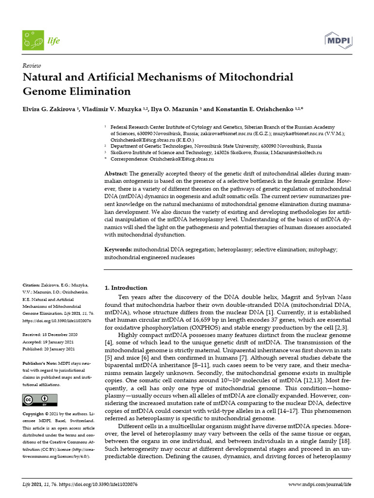 Mitochondrial Genome Elimination Mechanisms | PDF | Mitochondrial Dna ...