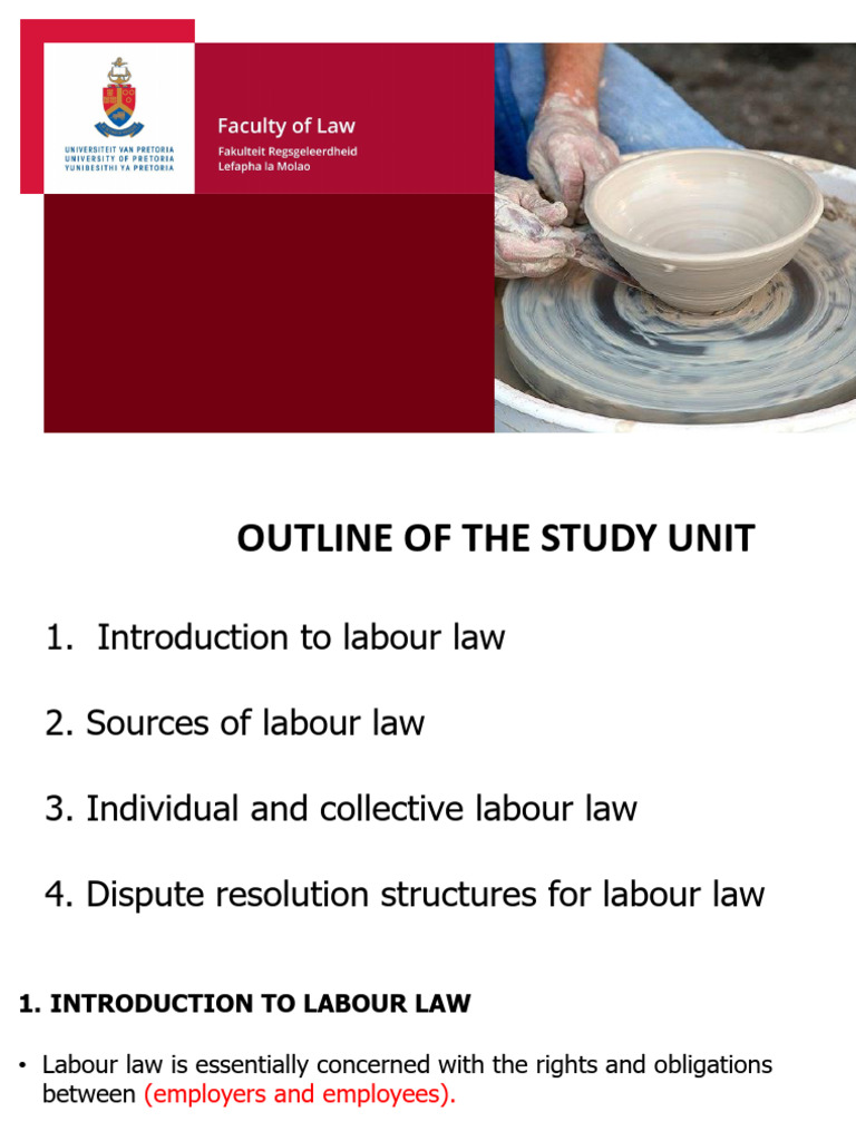 Overview of Individual Labour Law | PDF | Labour Law | Employment
