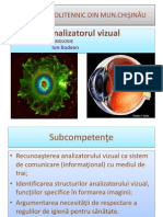 Analizator Vizual