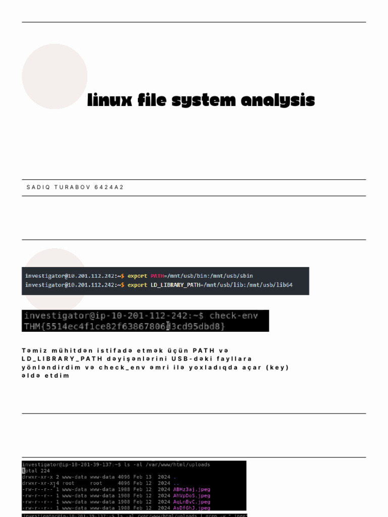 Lab 3 Linuxfile | PDF