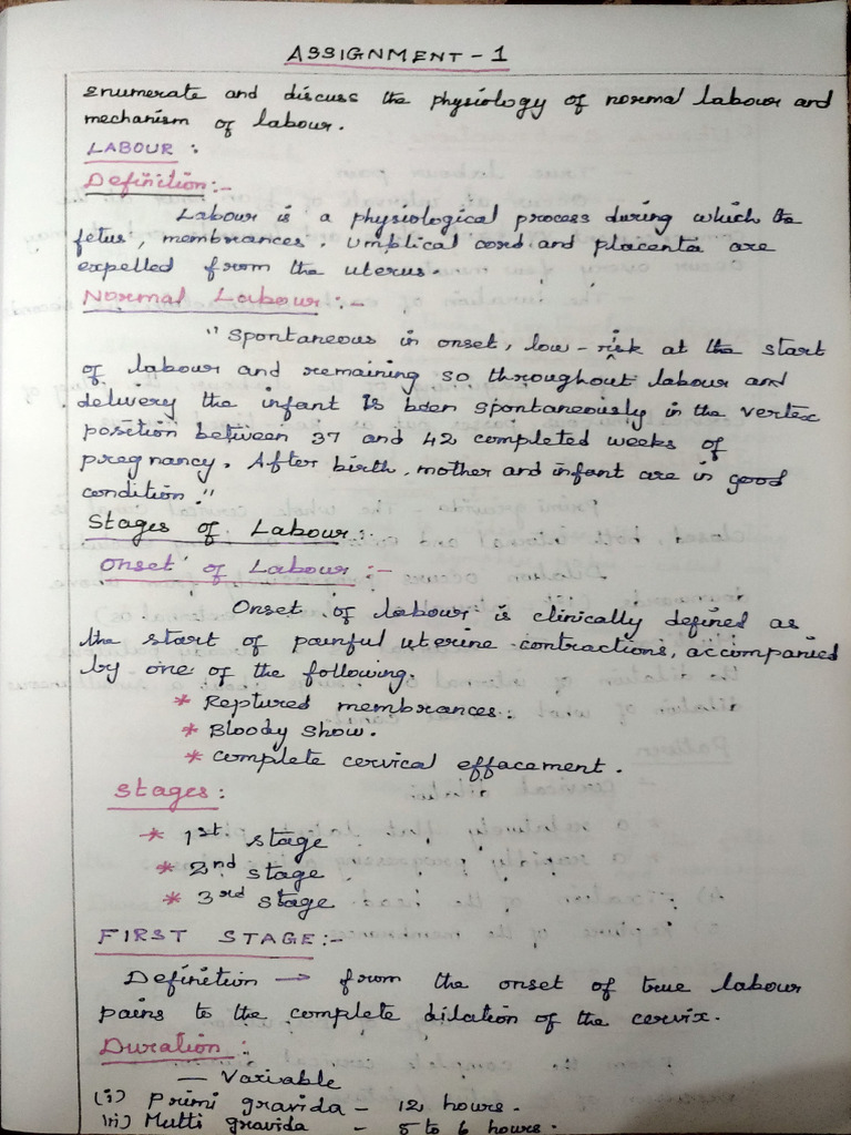 OG Assignment | PDF