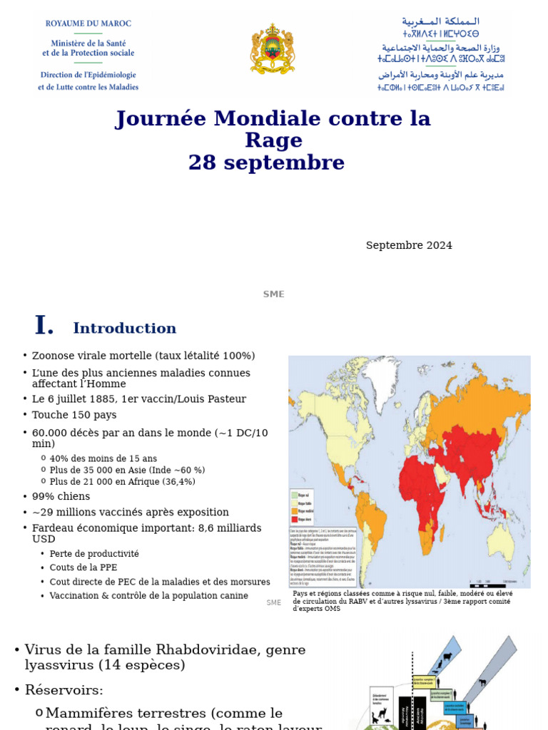 Lutte contre la rage : État et stratégies au Maroc | PDF | Rage ...