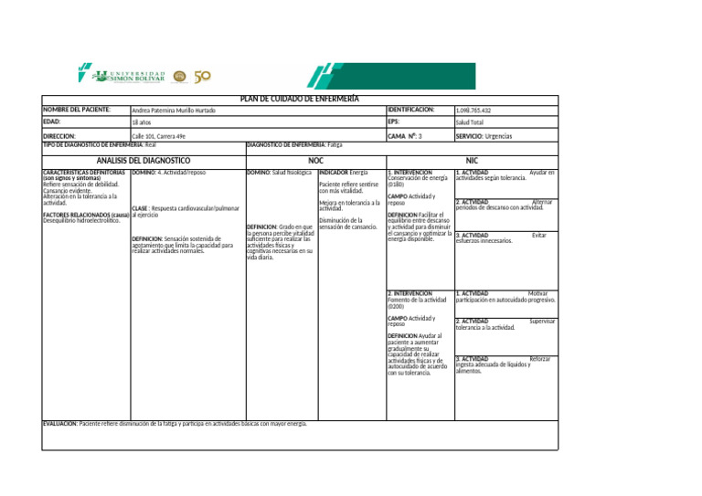Formato Plan de Cuidados 2025 - 2 | PDF | Enfermería | Medicina