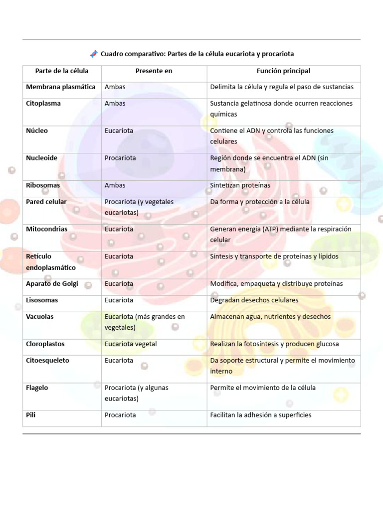Comparativa de células eucariotas y procariotas | PDF