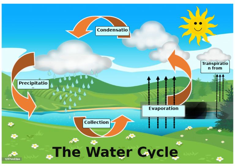 The Water Cycle | PDF
