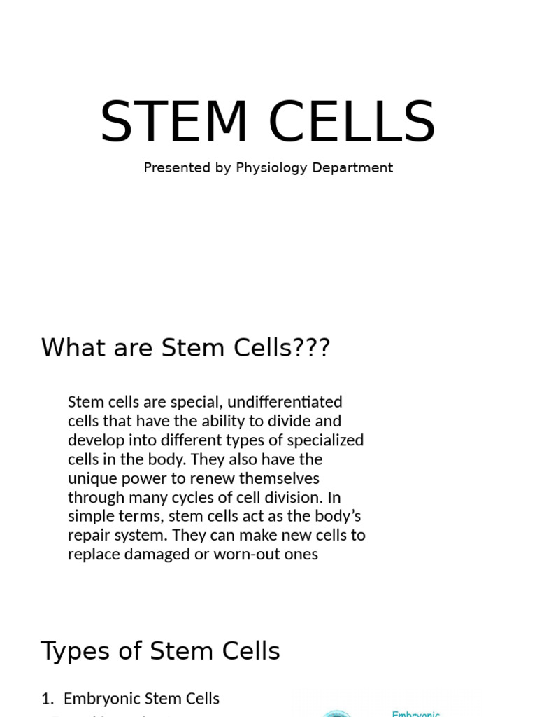 Understanding Stem Cells and Their Types | PDF