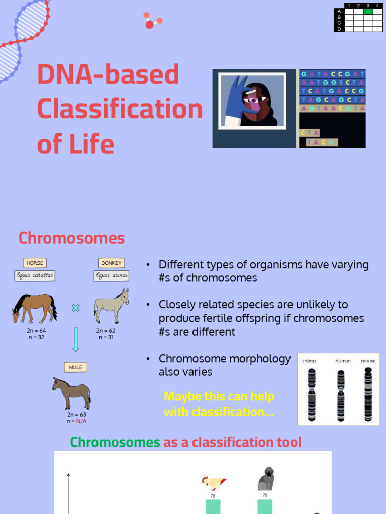 01a - DNA-based Classification | PDF | Genome | Gene