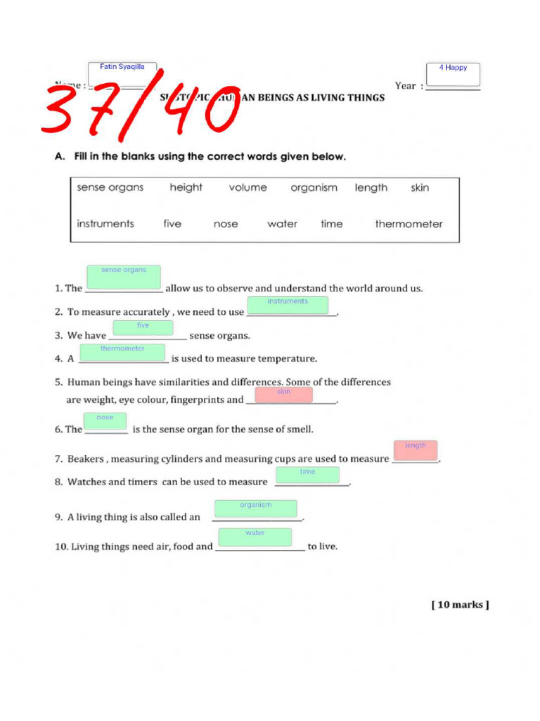 LiveWorksheets HumanBeings | PDF