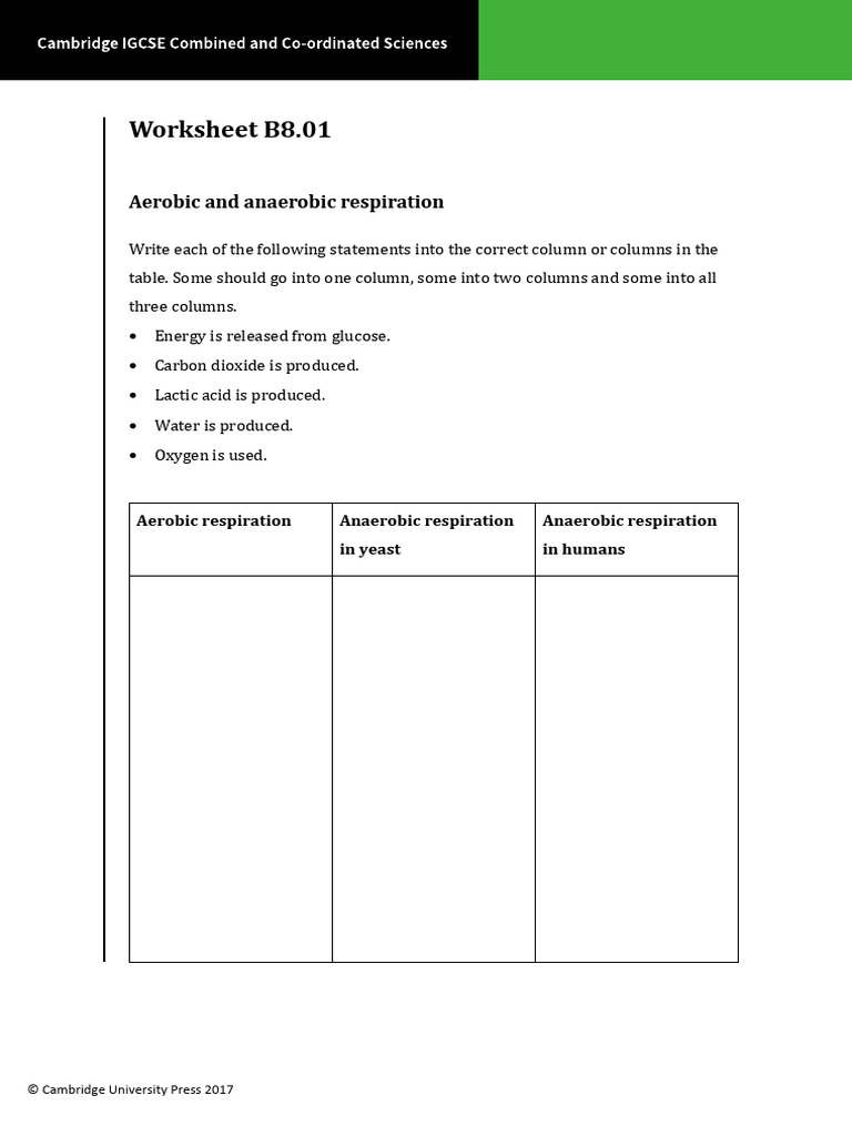 Worksheet B8.01 | PDF