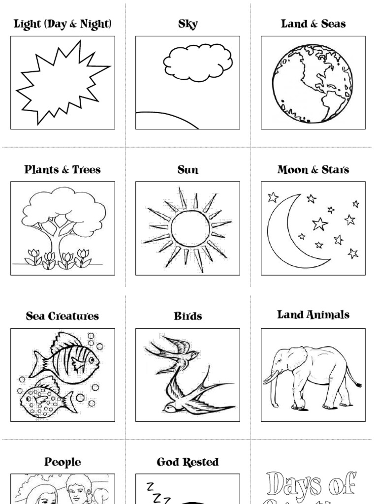 Seven Cs of History 2 - Creation Flashcards | PDF