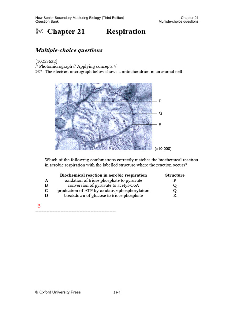 Respiration: Multiple-Choice Questions | PDF | Cellular Respiration ...