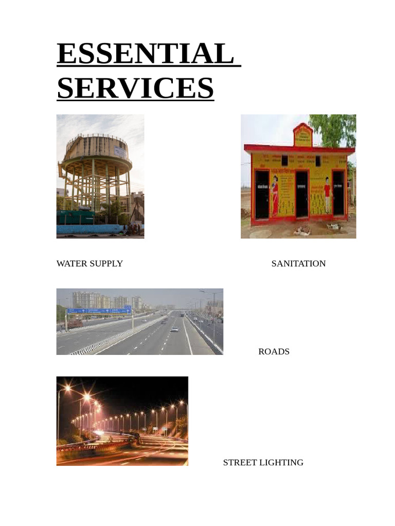 Essential Community Services Overview | PDF