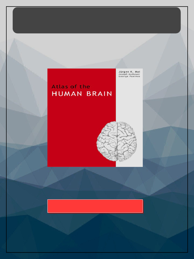 Atlas of the Human Brain 2nd Edition Jürgen K. Mai all chapters ...