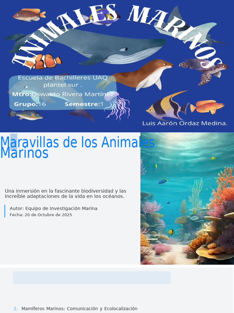 Maravillas de Los Animales Marinos | PDF | Mamíferos marinos | Cetacea