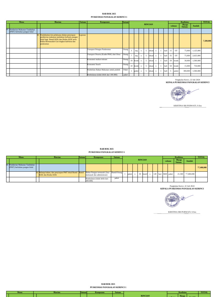 RAB BOK 2025 Puskesmas Pangkalan Kerinci | PDF