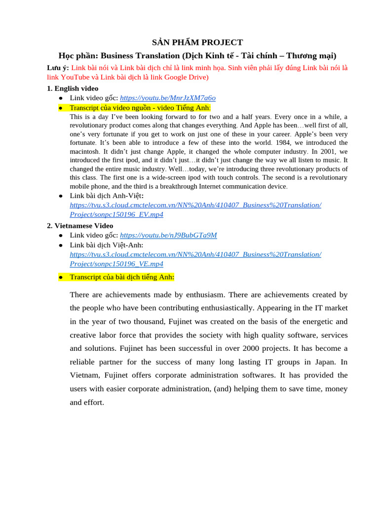 Business Translation Project Overview | PDF