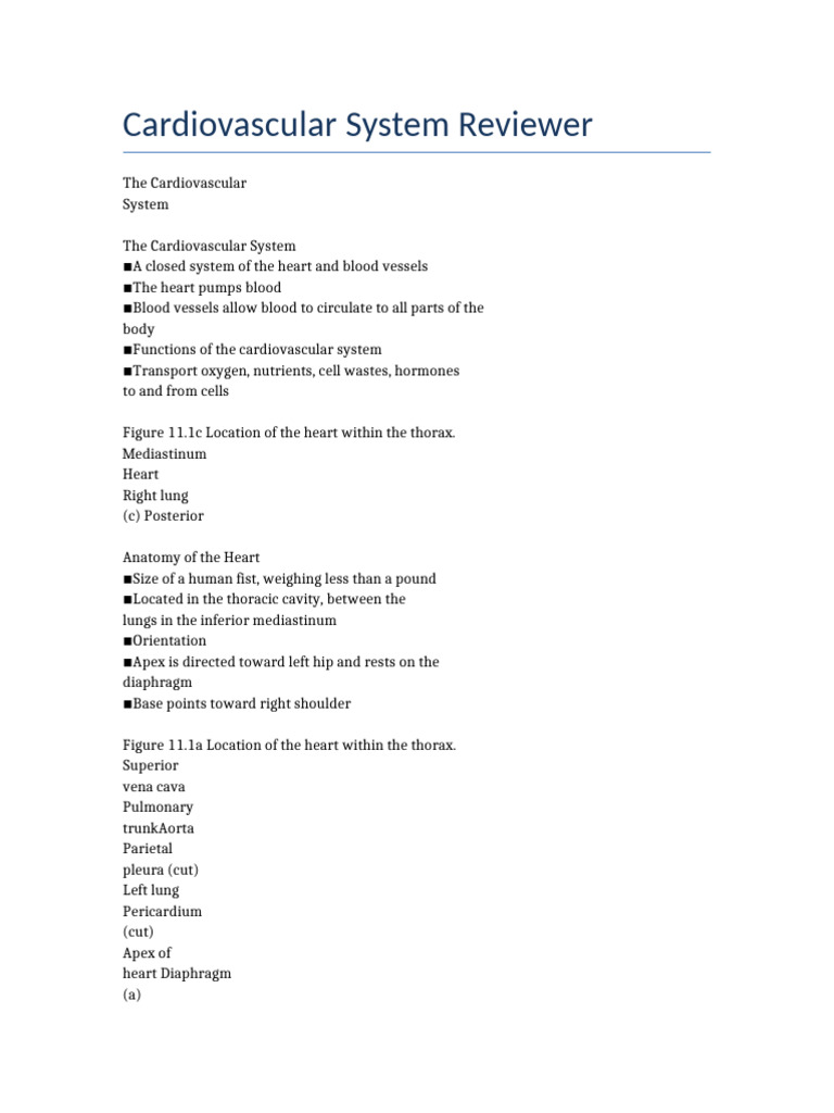 Cardiovascular System Overview and Anatomy | PDF | Heart Valve | Heart