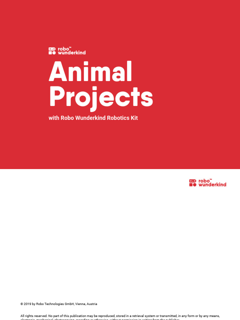 Animals Projects - Cards | PDF