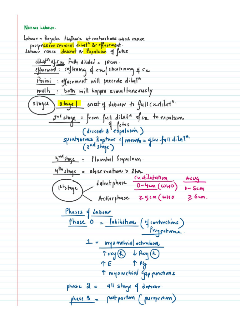 10.1 Normal Labour | PDF