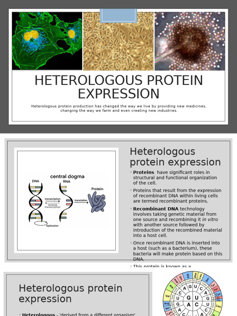 BTN+322 2023 1+-++Heterologous+Protein+Expression+ +Protein+Isolation ...