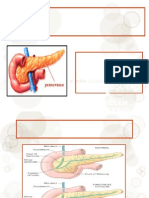 Pancreas Expo Sic Ion