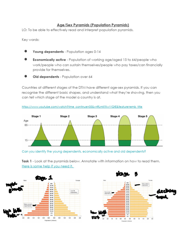 L5. Population Pyramids | PDF