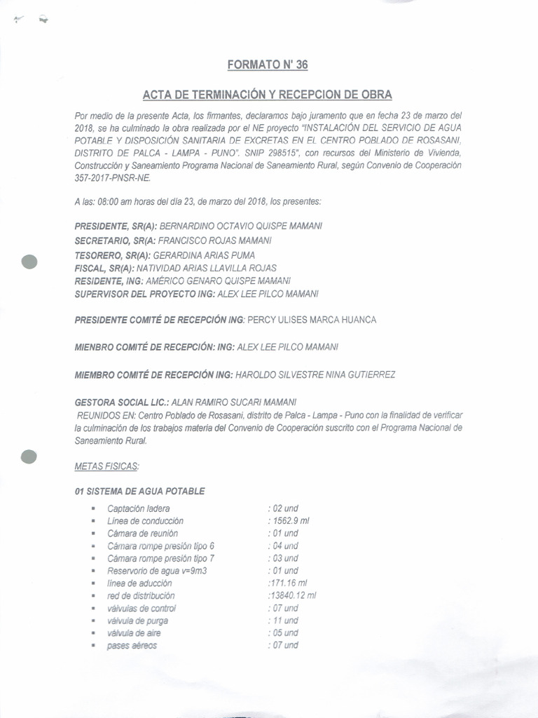 Formato #36 Ne Rosasini Puno | PDF