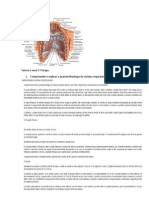 Pneumonia + Dor Toracica