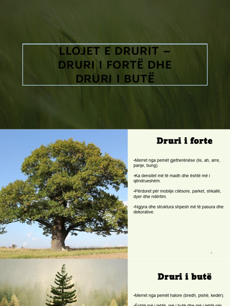 Llojet e Drurit | PDF