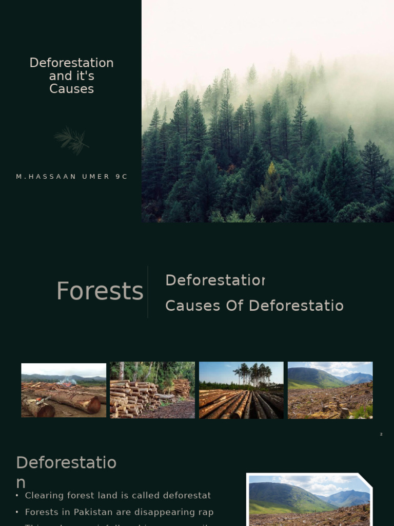 Causes and Effects of Deforestation | PDF