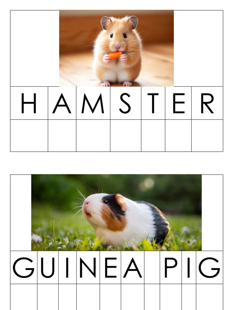 Ham | PDF