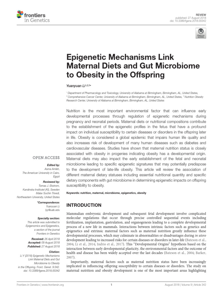 Maternal Diet, Microbiome, and Obesity | PDF | Epigenetics | Obesity