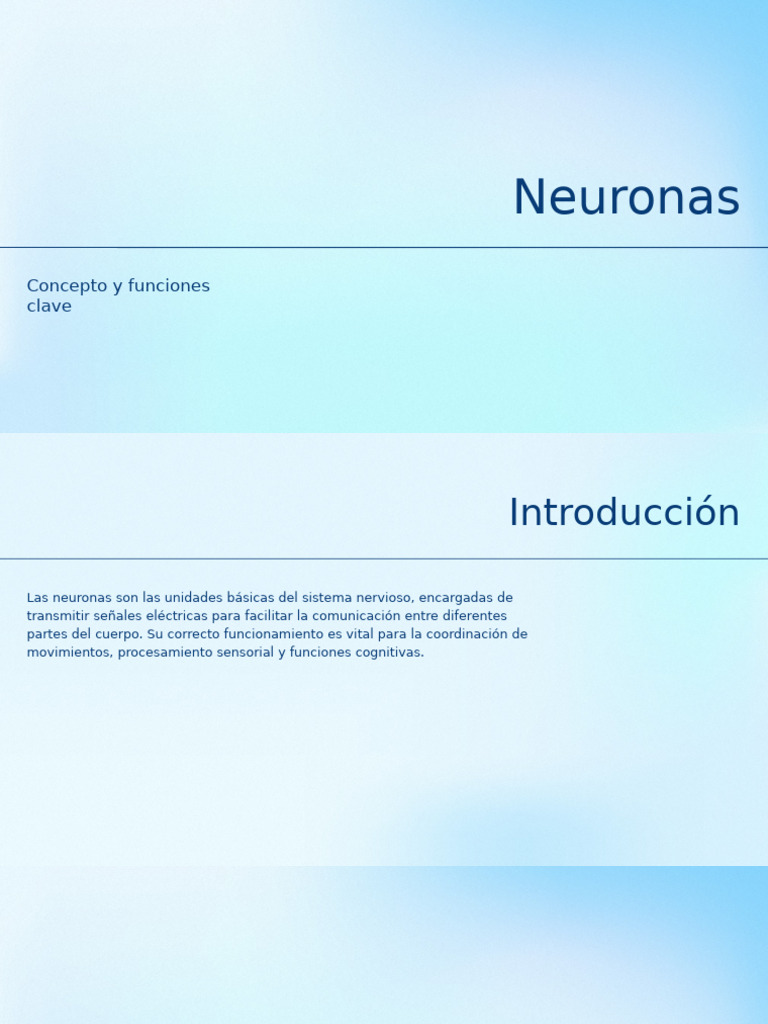 Funciones y Estructura de Neuronas | PDF | Neurona | Sistema nervioso