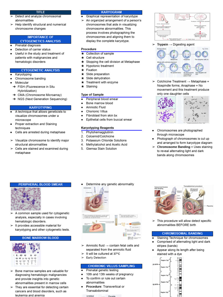 Cytogenetic Analysis Techniques Overview | PDF | Fluorescence In Situ ...