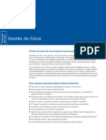 GestaoCaixa PDF