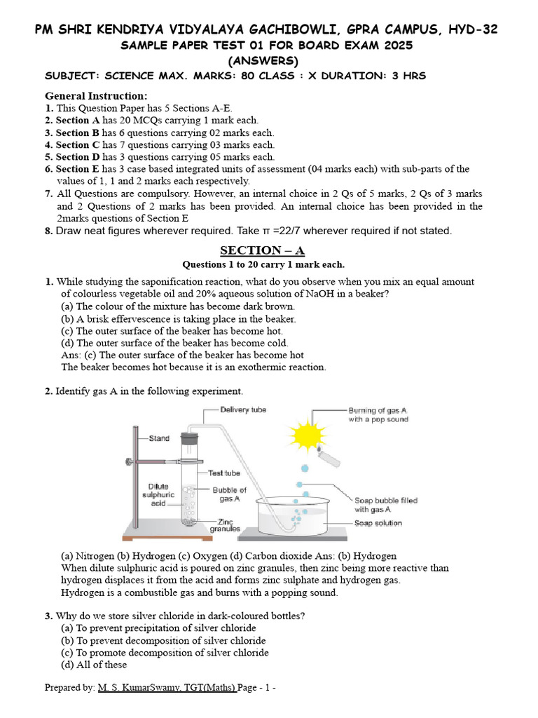 Class 10 Science Sample Paper 2025 | PDF | Meiosis | Reproduction