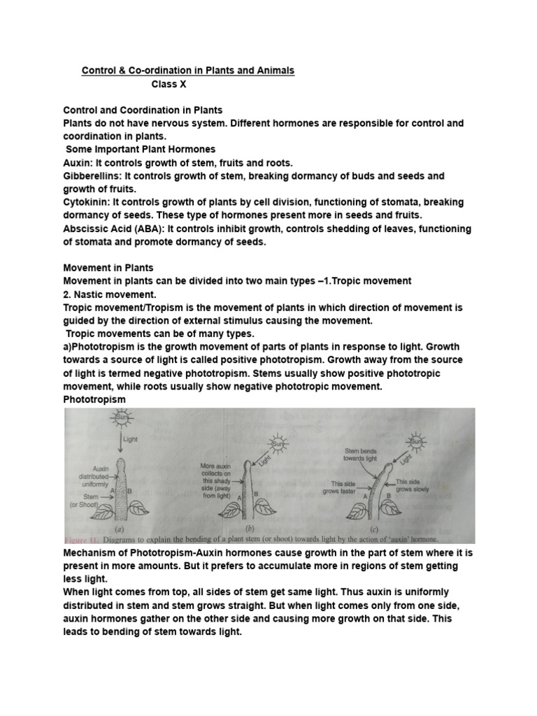 Control and Coordination in Organisms | PDF | Neuron | Nervous System