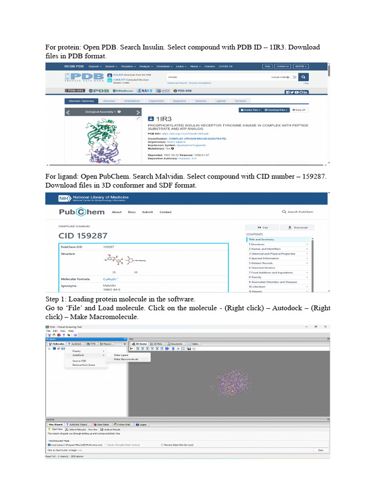 Protein-Ligand Docking Tutorial | PDF